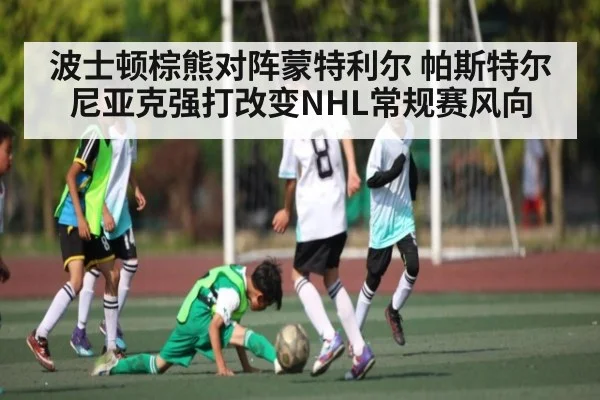 波士顿棕熊对阵蒙特利尔 帕斯特尔尼亚克强打改变NHL常规赛风向